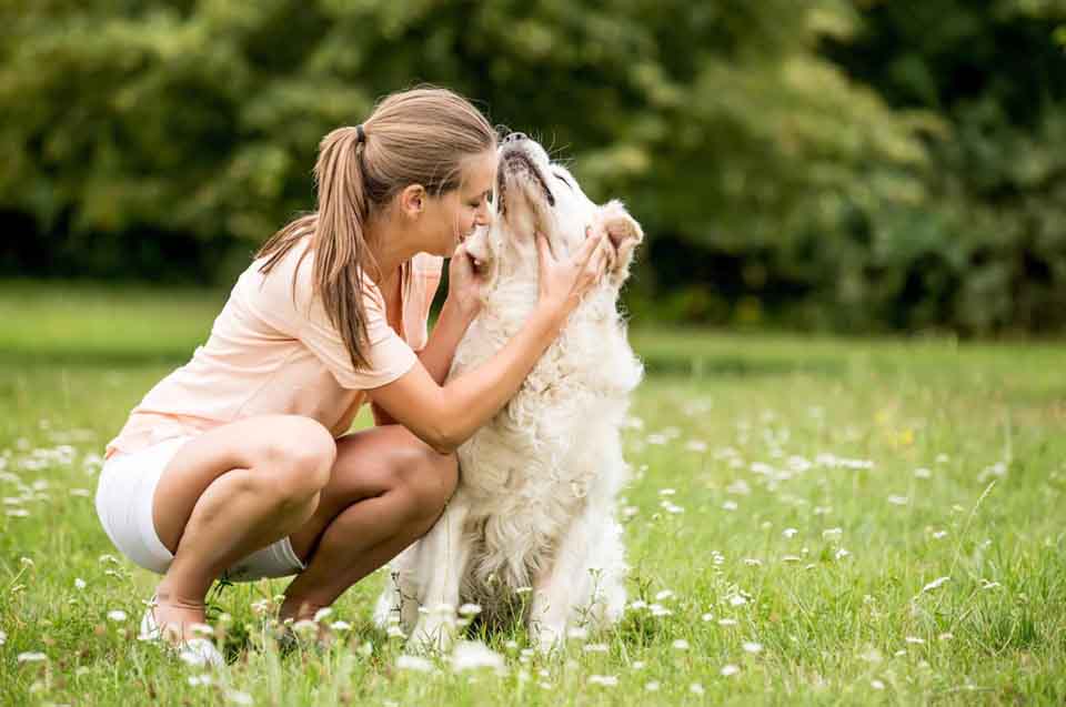 Strengthen the Bond with Your Dog